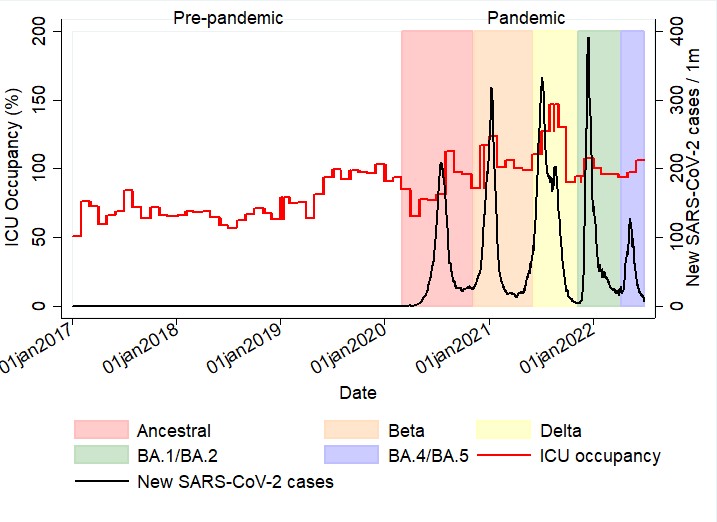 Graph showing ICU occupancy and SARS-CoV-2 cases and variant surges in 2 public hospitals in South Africa.