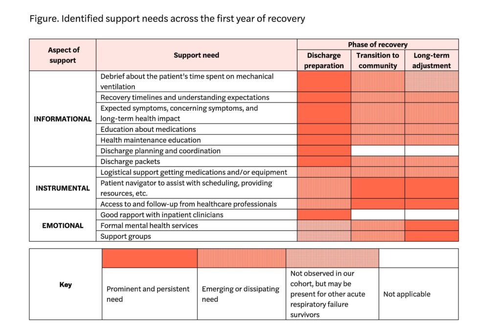 Table showing identified support needs across the first year of recovery.
